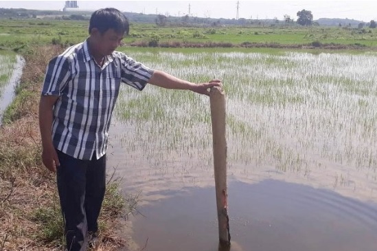 Thông tin từ đường dây nóng